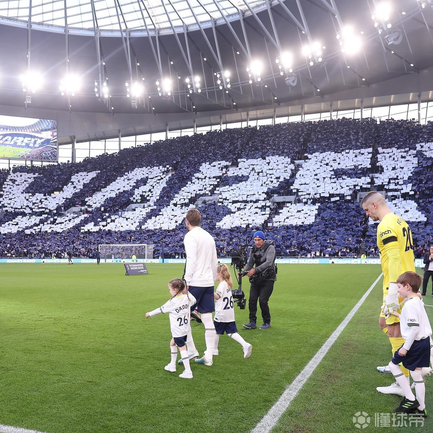 关于凯恩连续七场比赛得分超过高光表现，TL挑战极限！的信息